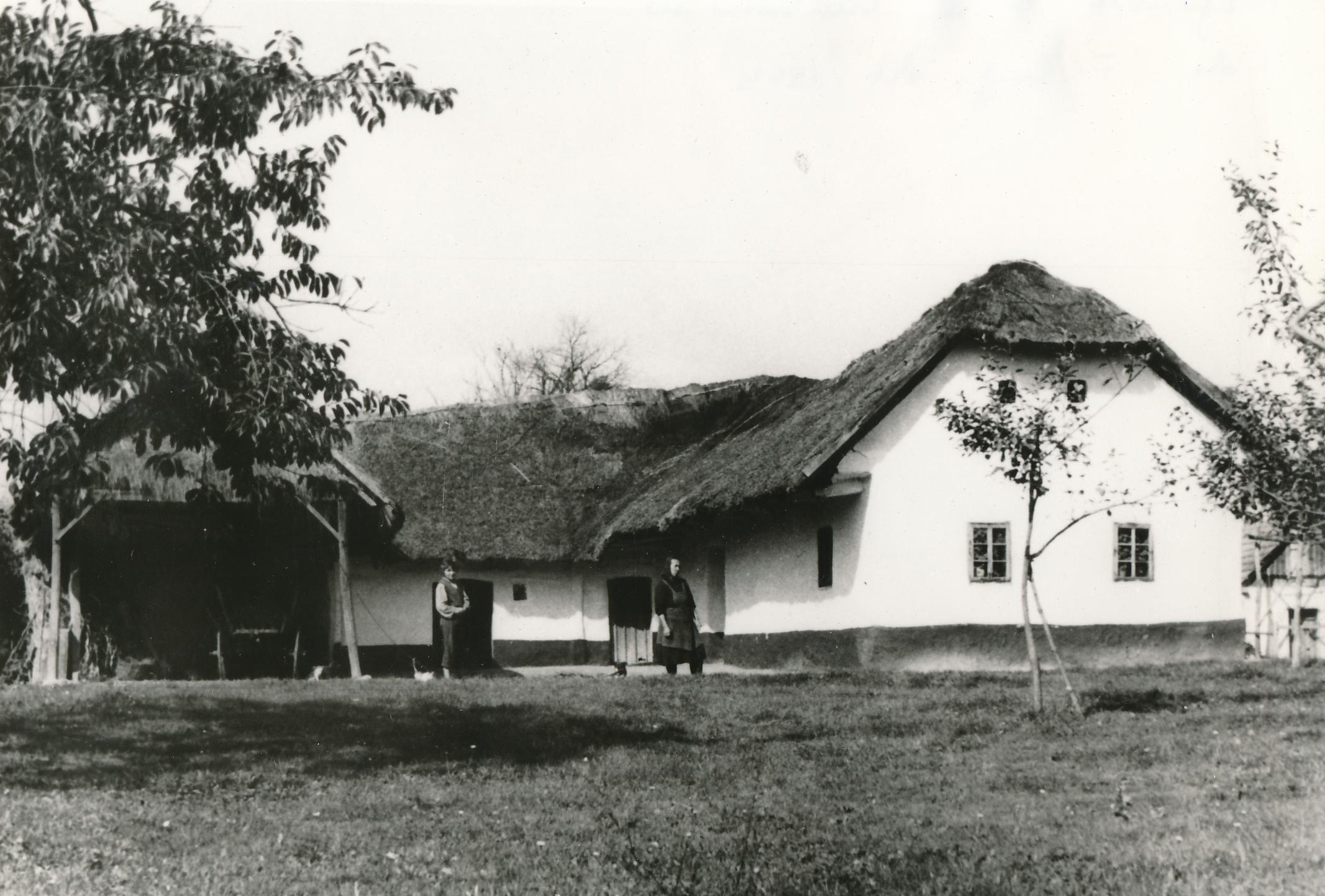 eika image